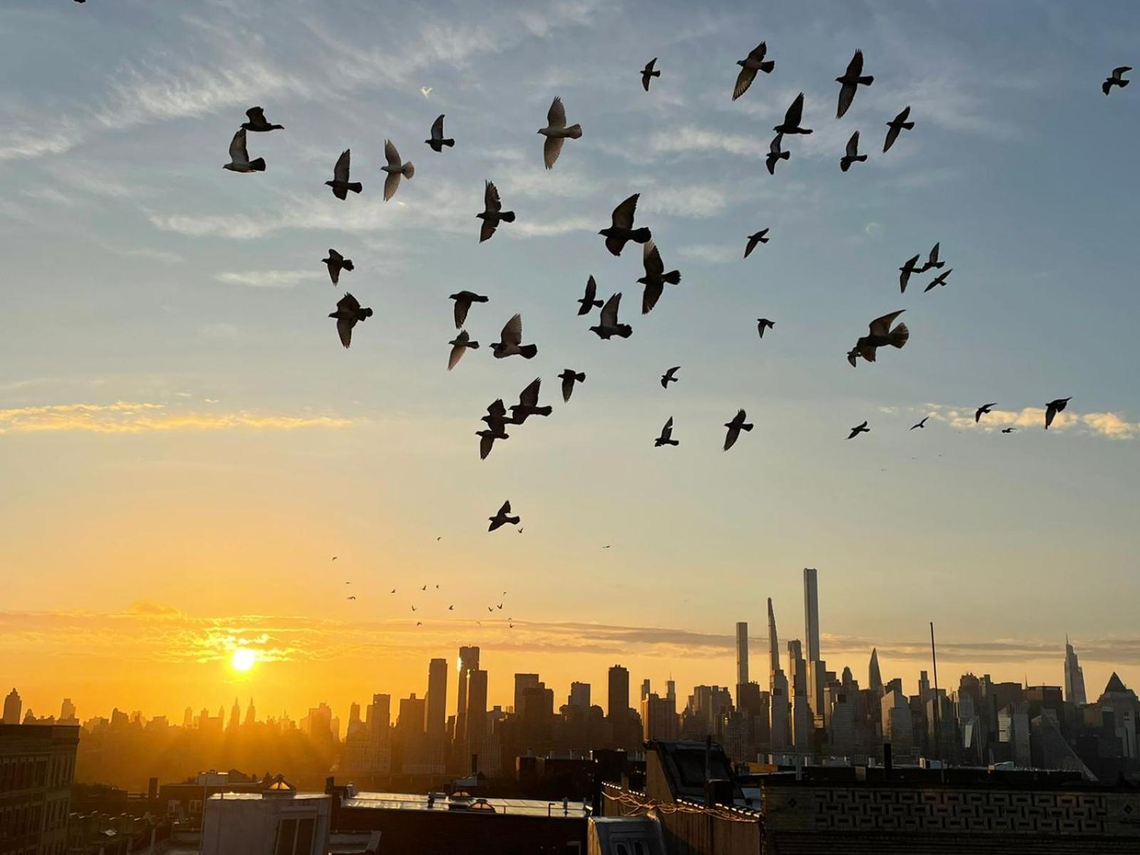 See Ny Now Sleeps 21 Union City Luaran gambar